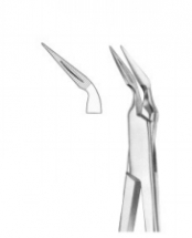 Root Splinter Forceps